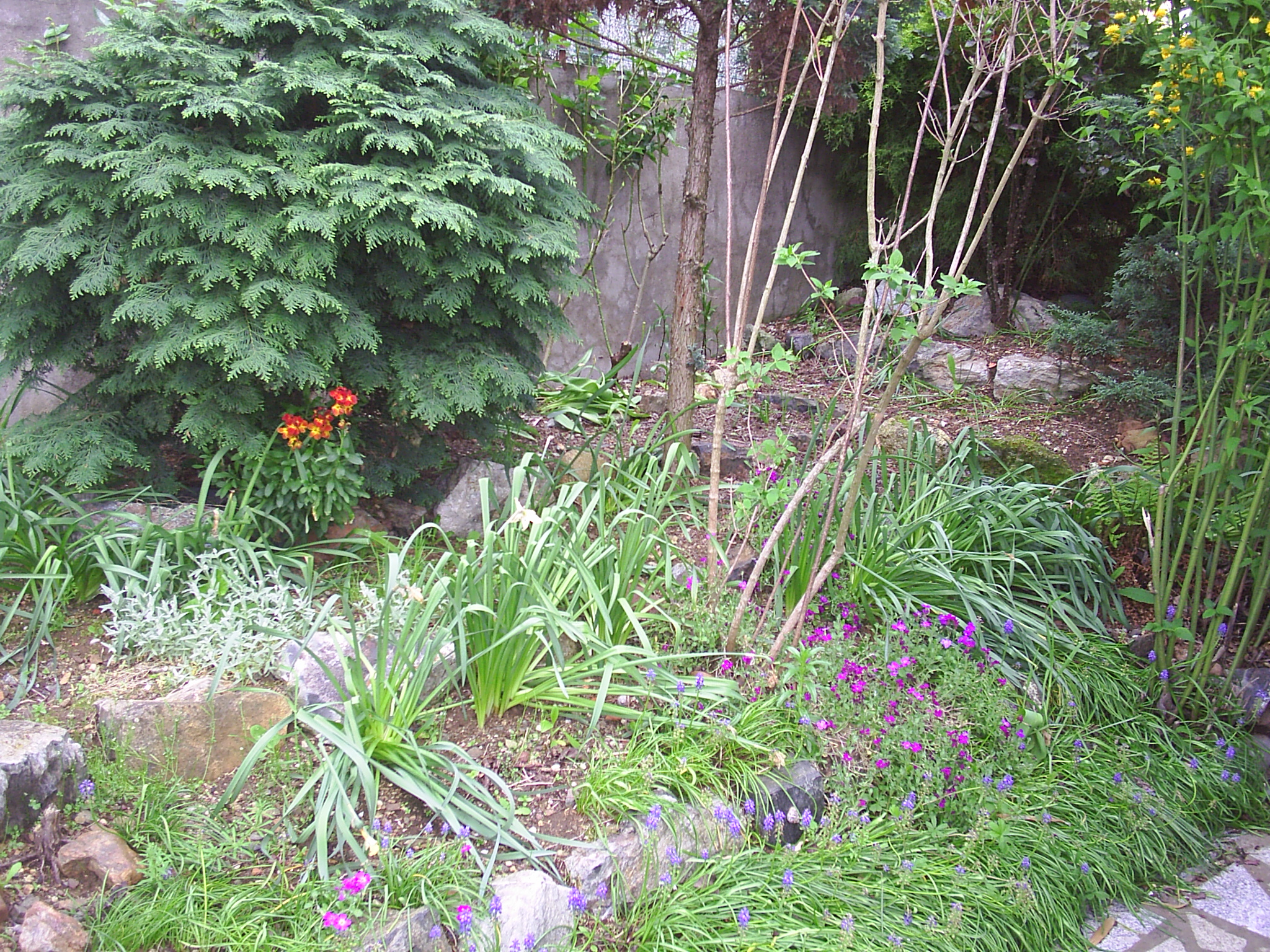 Jardim l esq