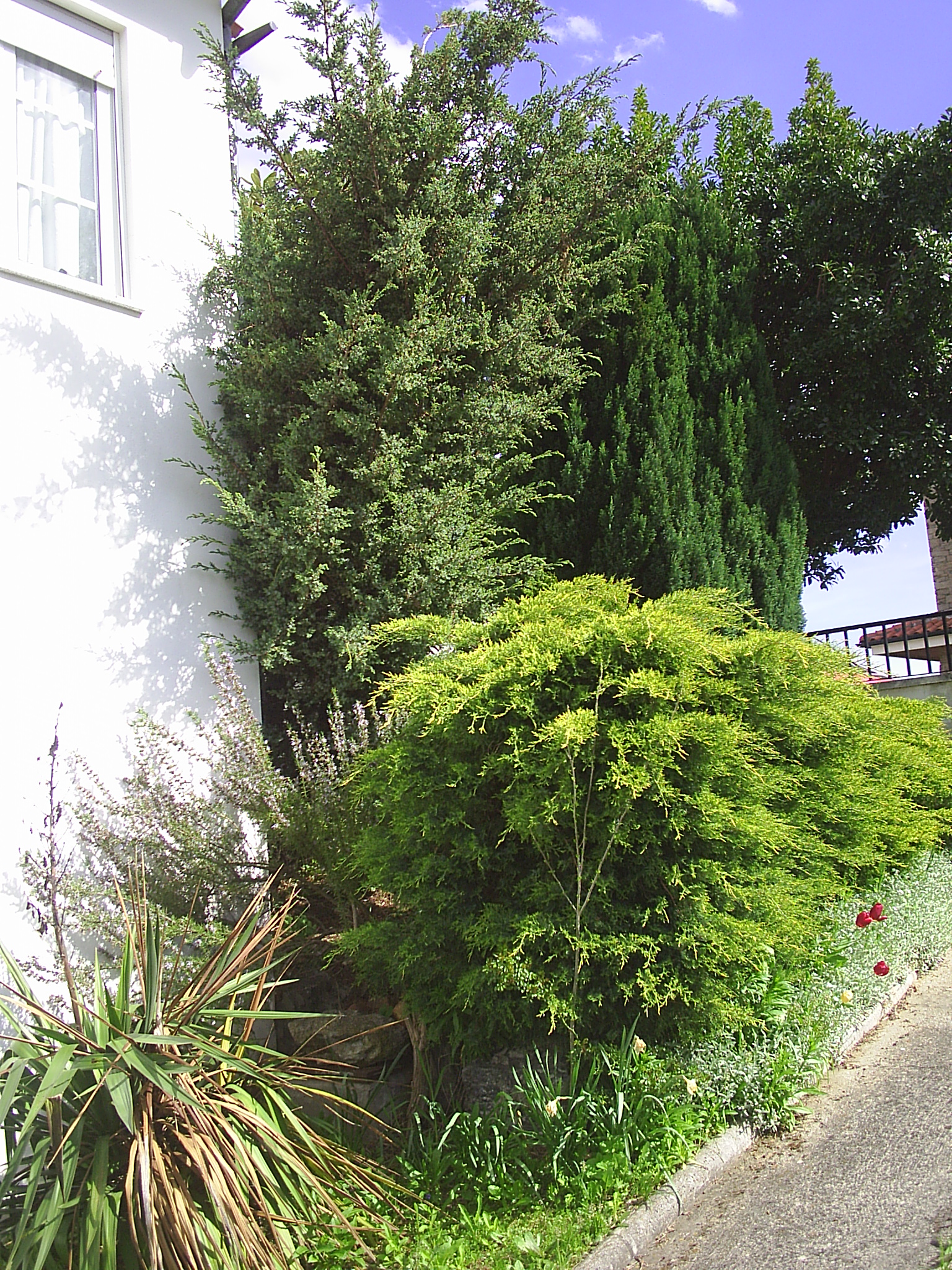 Jardim dto